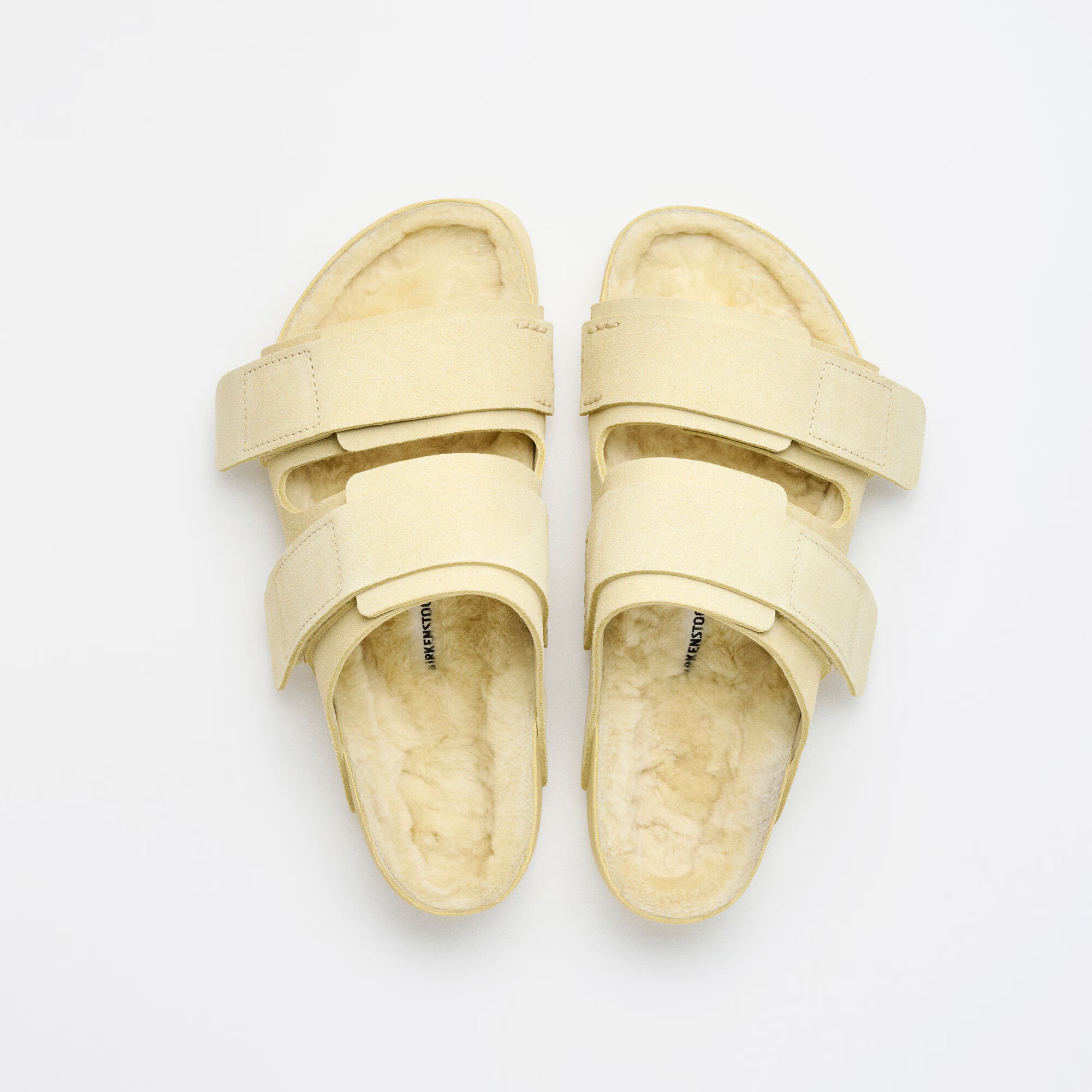 Uji Suede Tekla